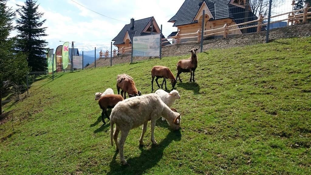 Willa Skorusyna Gliczarów Buitenkant foto