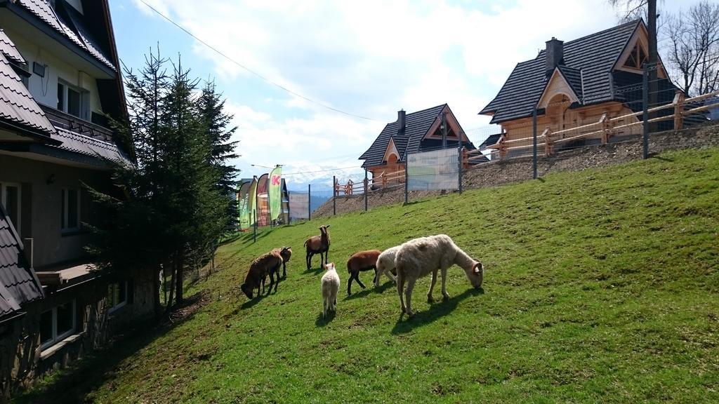 Willa Skorusyna Bed and Breakfast Gliczarów Buitenkant foto